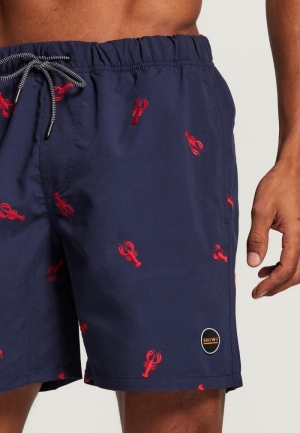 EMBROIDERY 604/DARK NAVY
