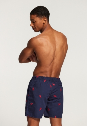 EMBROIDERY 604/DARK NAVY