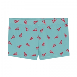 LOBSTER 655/CAMEO BLUE