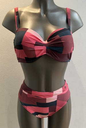 SAVANNA 295