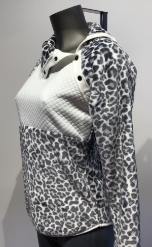  W21/GRIS