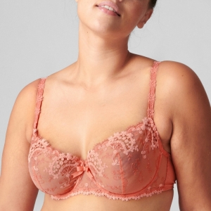 WISH 385