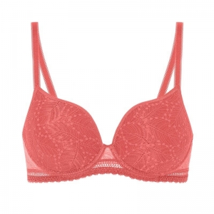 COMETE 457/ROSE TEXAS