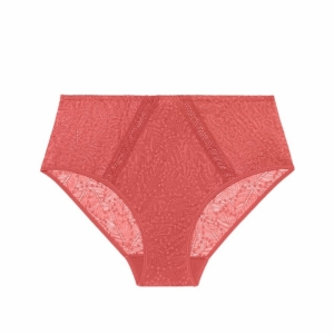 COMETE 457/ROSE TEXAS