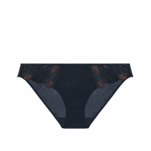 DAHLIA 012/COPPER BLAC
