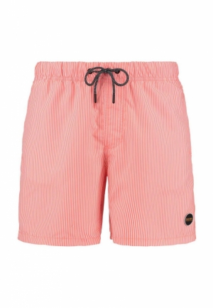 SKYNNY STRIPE 208/NEON ORANGE