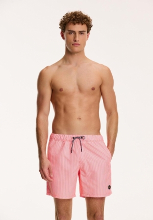 SKYNNY STRIPE 208/NEON ORANGE