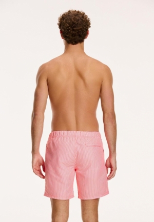 SKYNNY STRIPE 208/NEON ORANGE