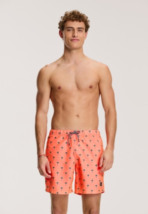 SCRATCH PALM 208/NEON ORANGE