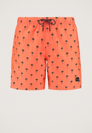 SCRATCH PALM 208/NEON ORANGE