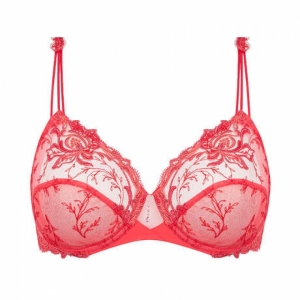 SOURCE BEAUTE HB/HIBISCUS BEA
