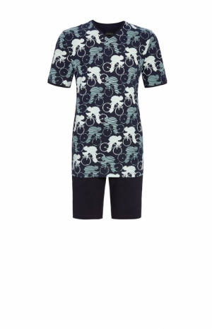  240/DARK NAVY