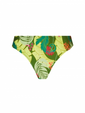 LA VENUS NATURE VT/VERT TROPIC