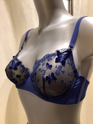 PAPILLON NVY-NAVY/MARINE