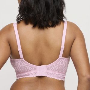SALERNO SNR SPRING ROSE