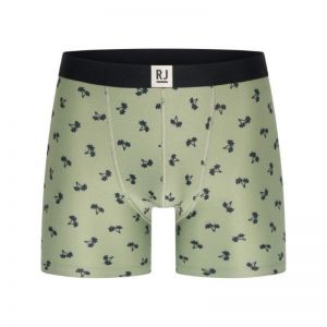 PALM TREES P250