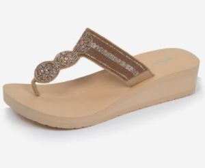 AAE/BEIGE