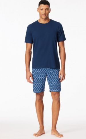  803/BLAUW