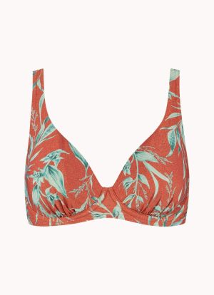 RUSTY ROSE 304