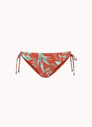 RUSTY ROSE 304
