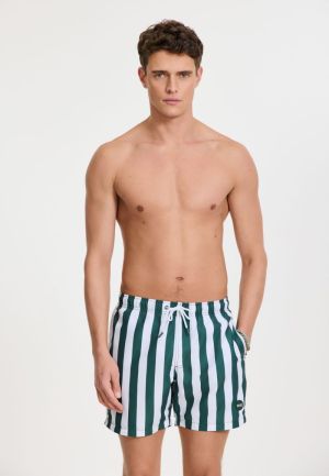 BROAD STRIPE 7835/GREEN LEAF