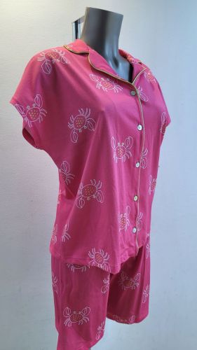  FUSCHIA