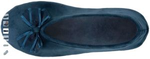  BCA/BLEU CANARD